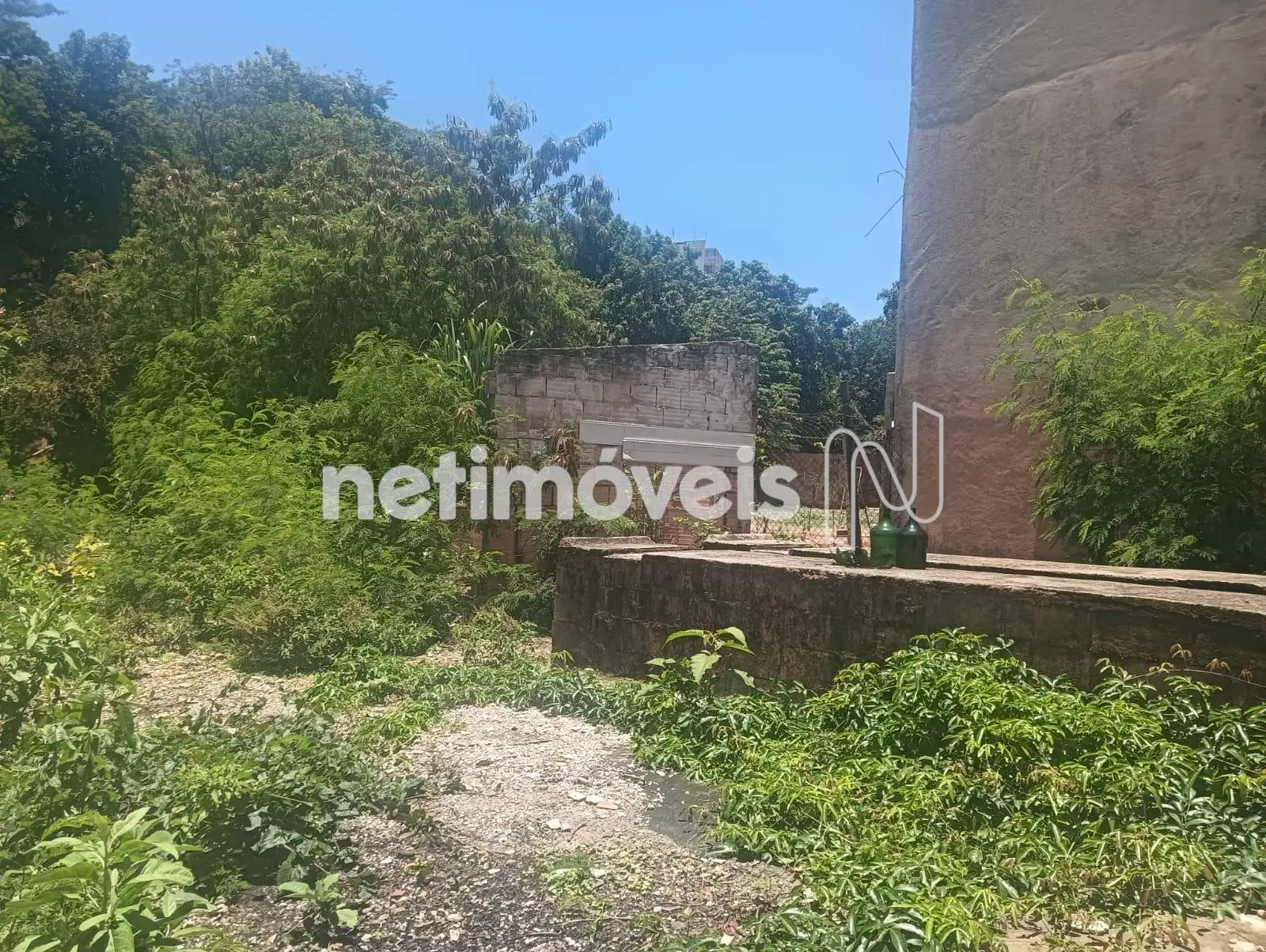 LATERAL DIREITA - FUNDOS 