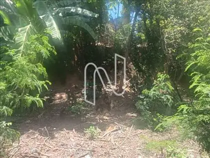 FUNDOS ESQUERDA  