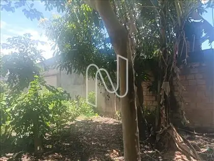 LATERAL DIREITA  