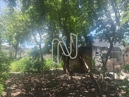 LATERAL DIREITA  