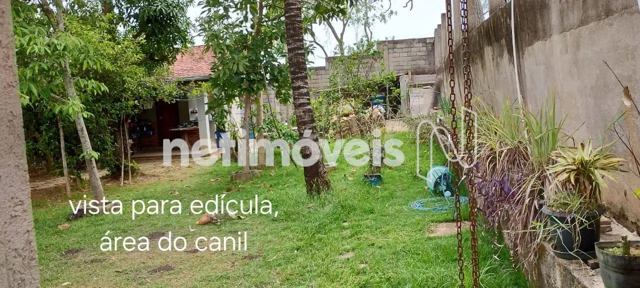 Área Externa 