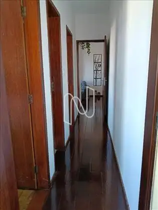  Circulação 