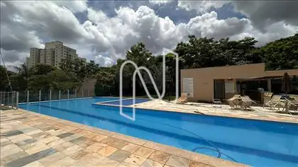 PISCINA 