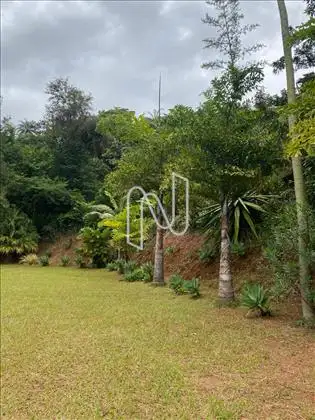 Paisagismo 