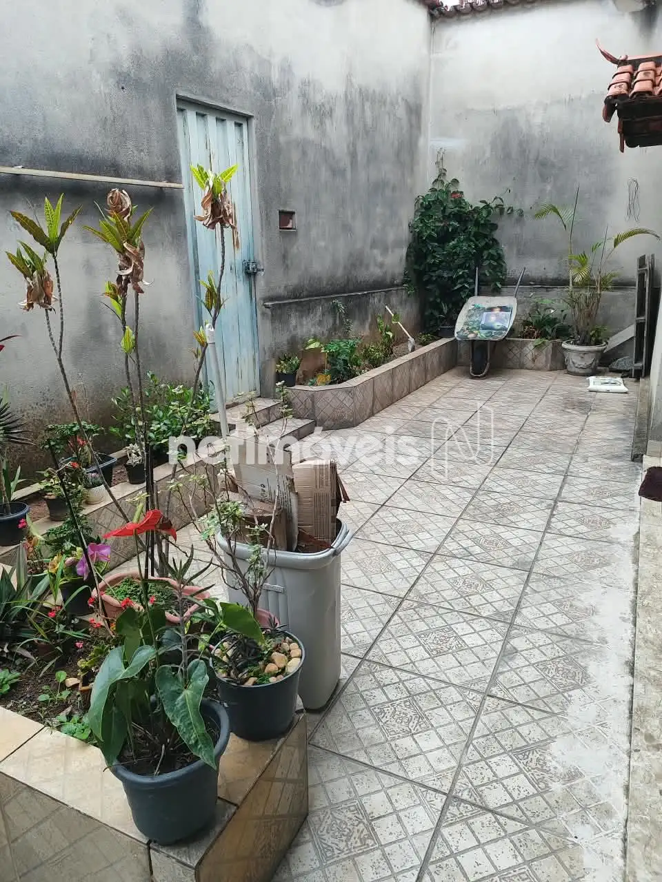 Jardim