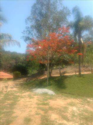 Jardim amplo