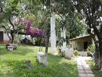 Área externa, jardim e árvores frutíferas