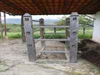 Curral
