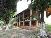 Varanda dos fundos e quintal com árvores