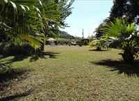 Área verde 