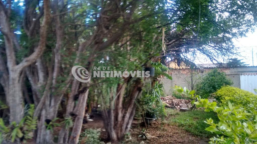 Quintal com árvores