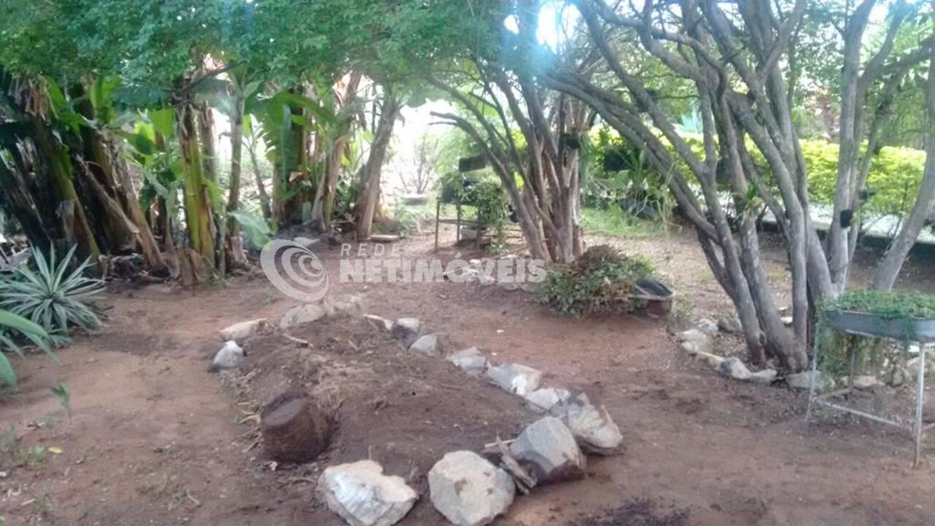 Quintal com espaço e verde