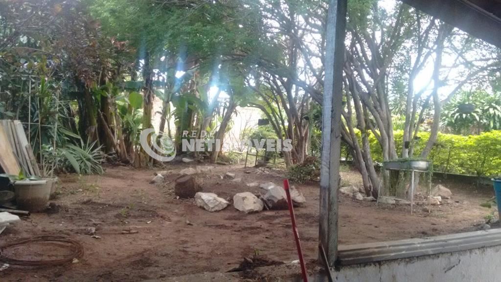 Quintal com plantas e árvores