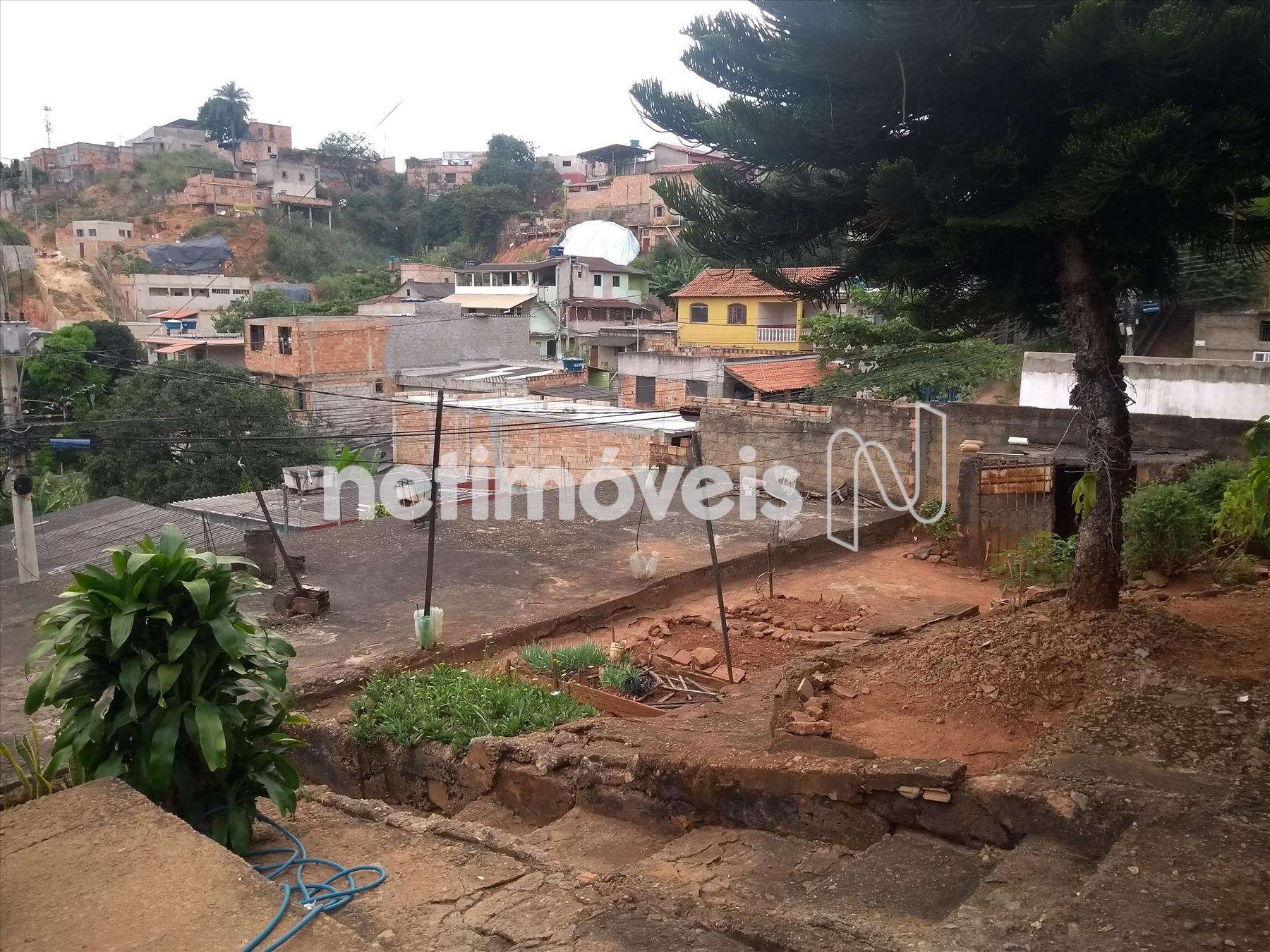 Entrada da casa e área verde com árvore