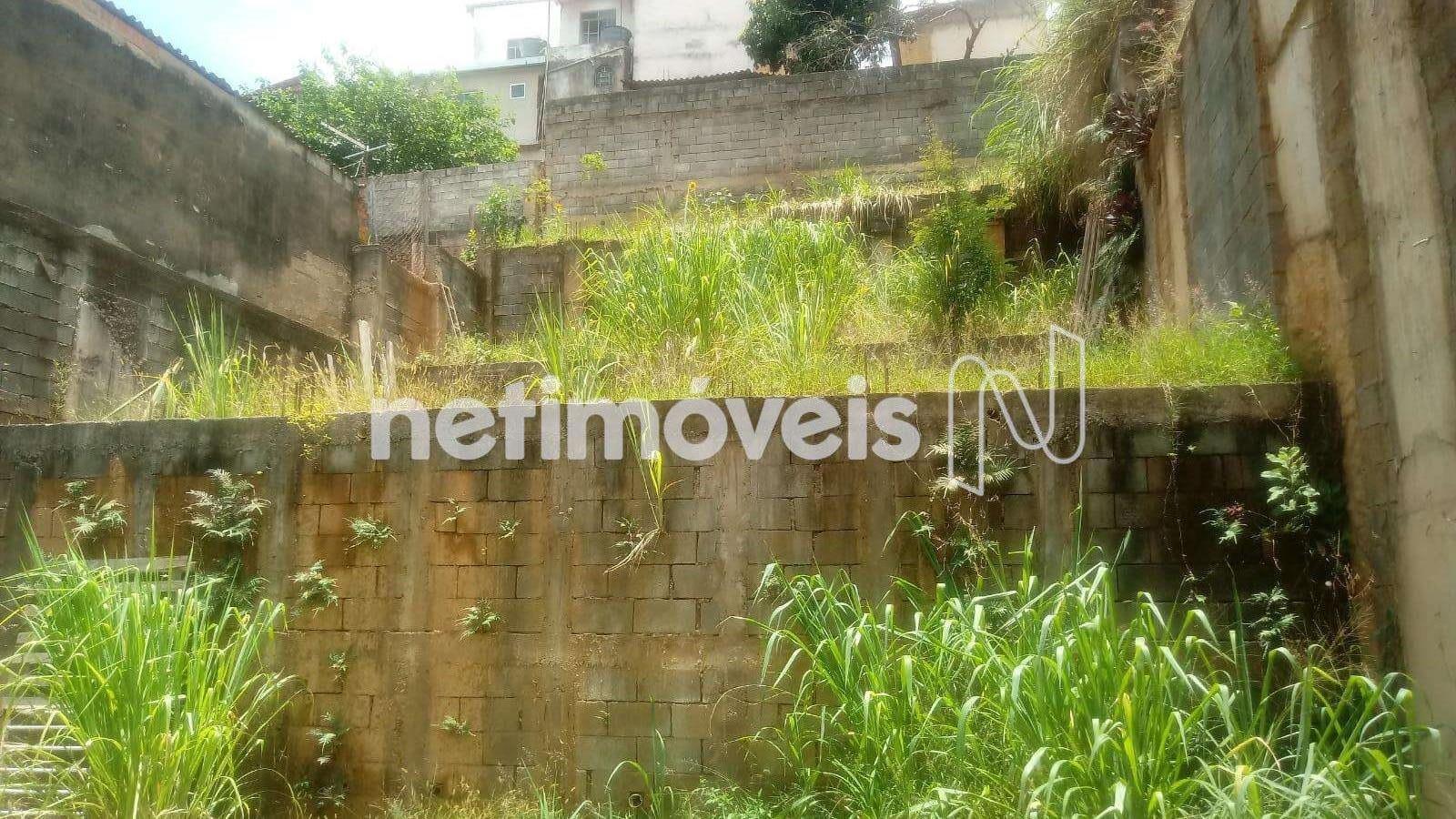 Parte dos fundos do terreno.  