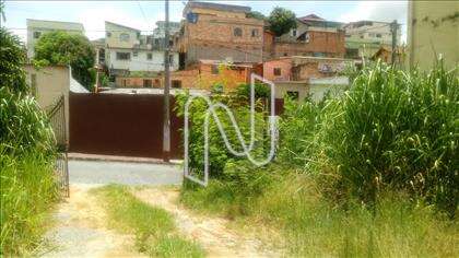 Lote