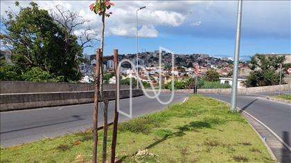 De frente para avenida