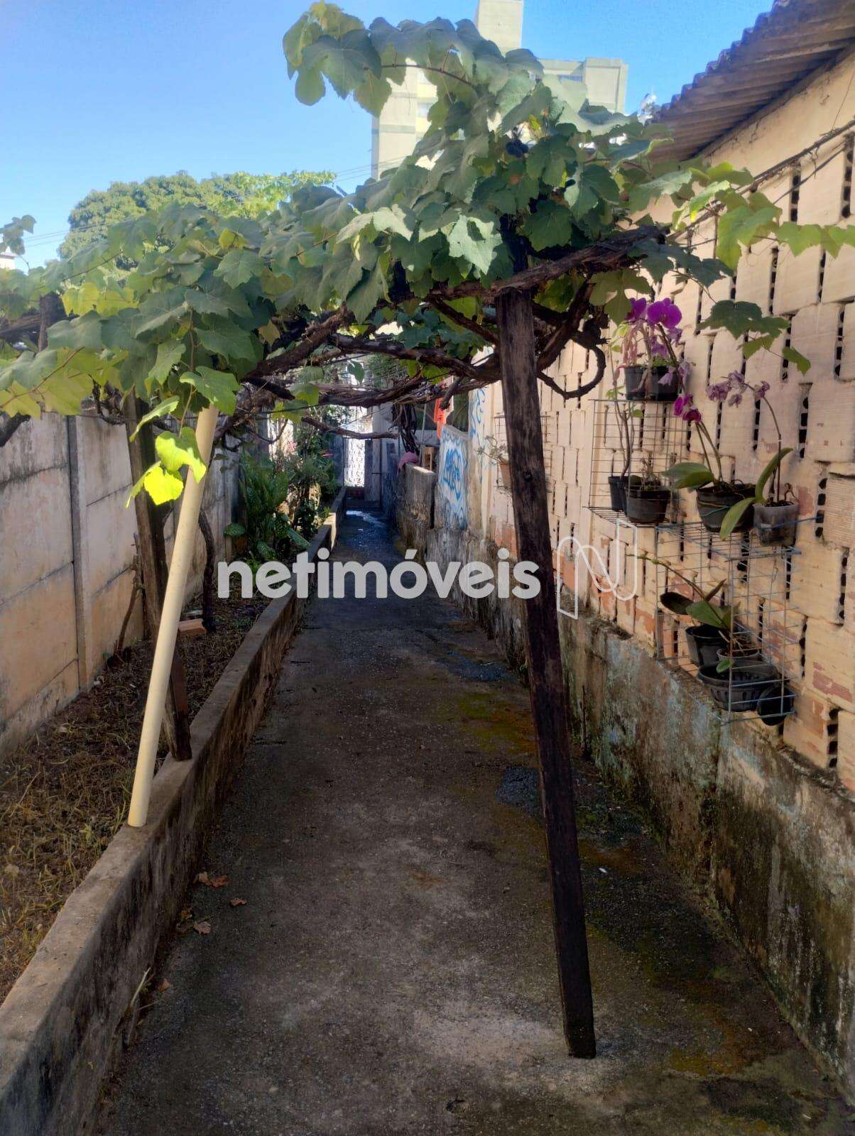 Lateral do lote
