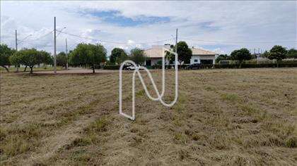 Lote