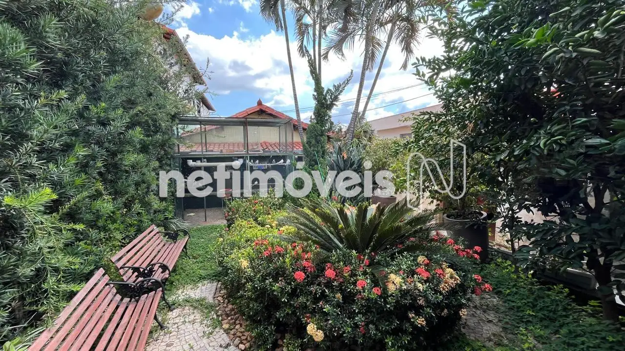 vista da garagem para o jardim