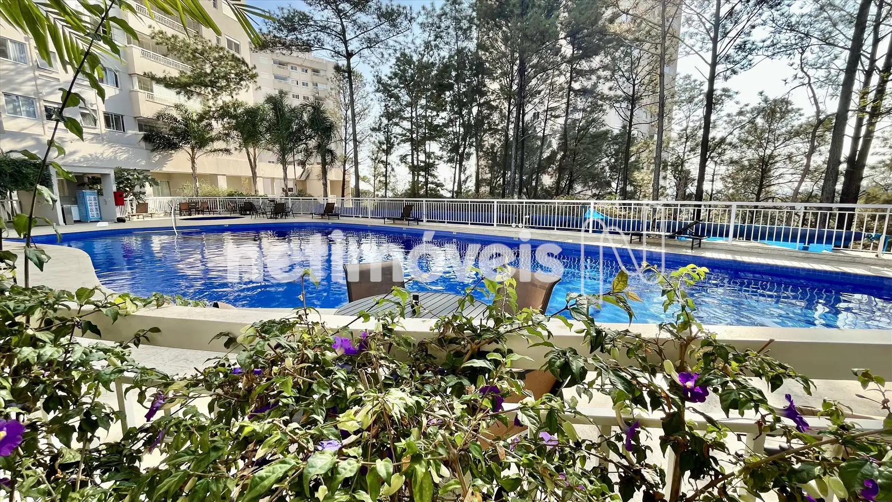 Piscina adulto