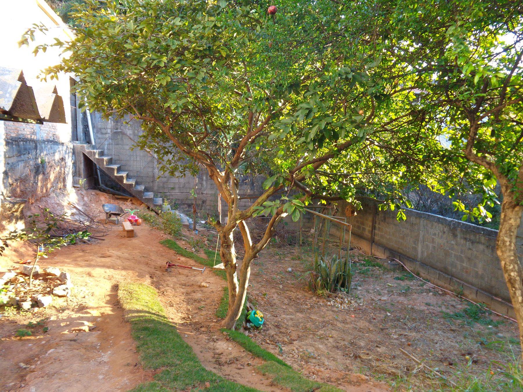   Área verde fundos outro ângulo.