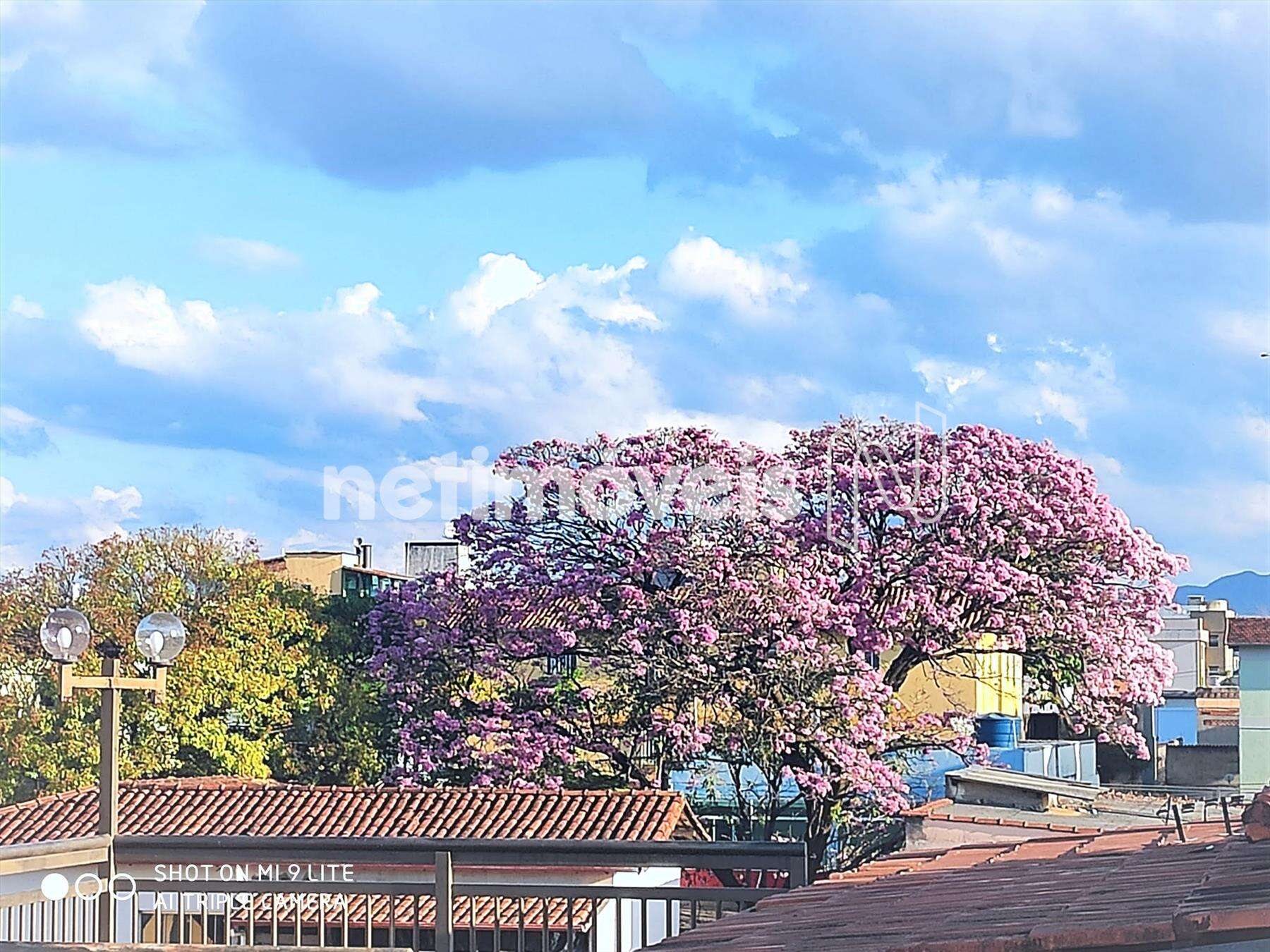 Vista panorâmica