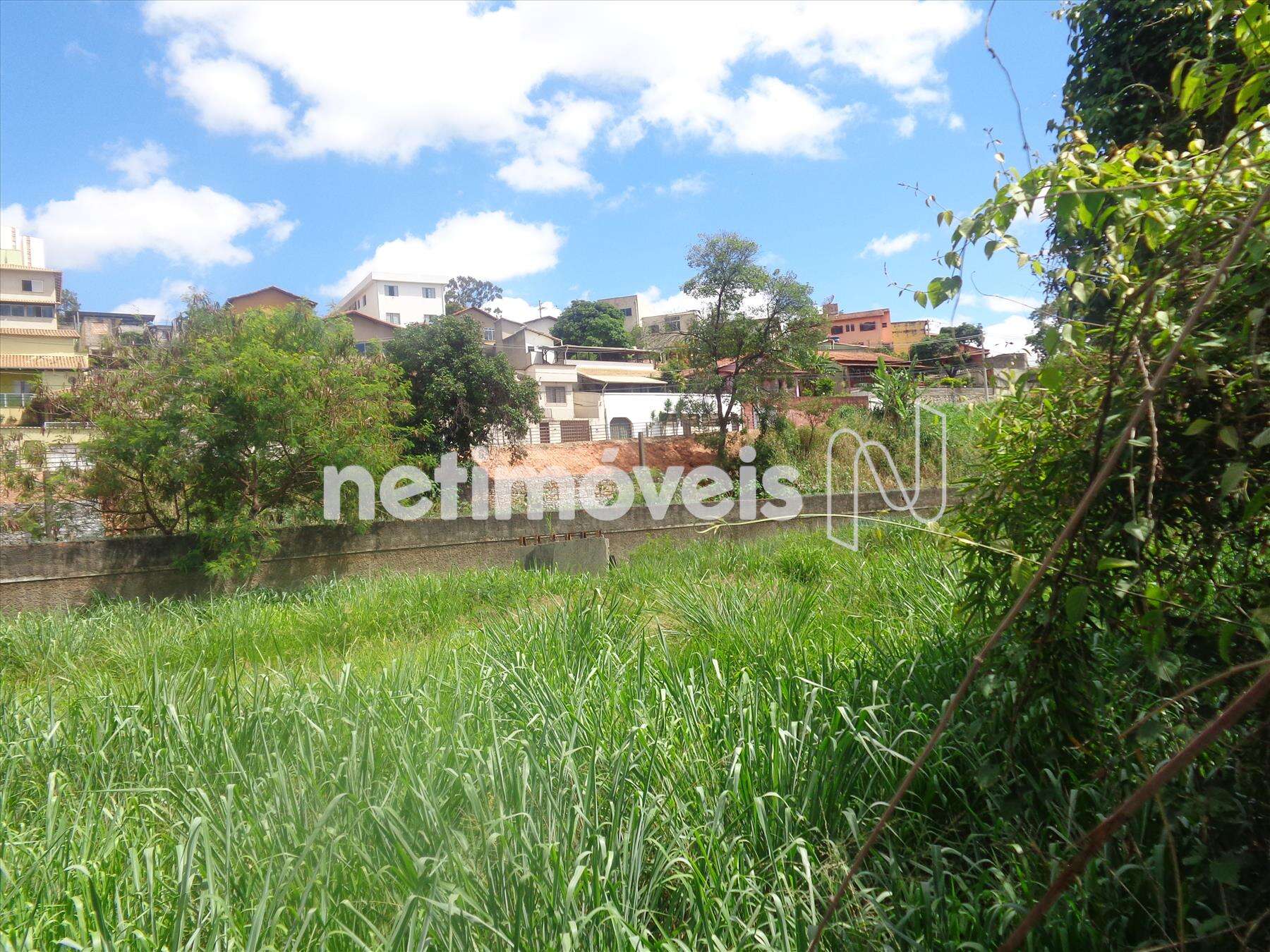 Fundo do terreno outro ângulo