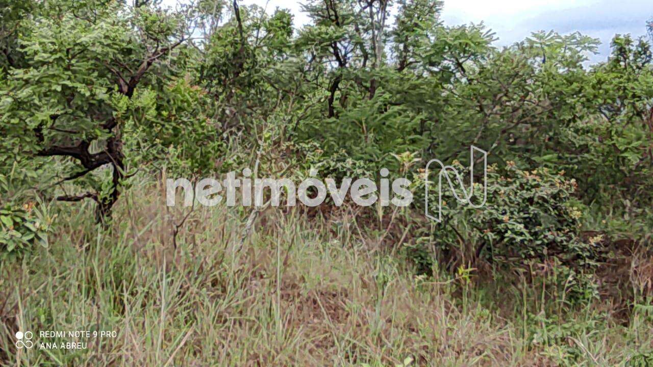 ÁREA DE VEGETAÇÃO PRESERVADA DO LOTE