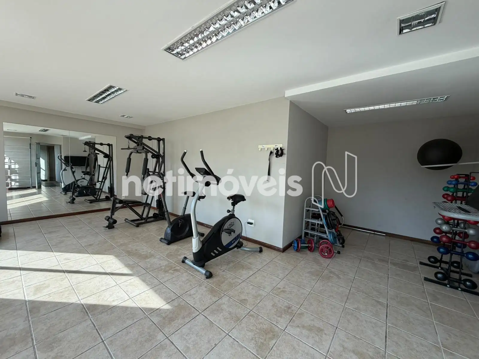 Academia