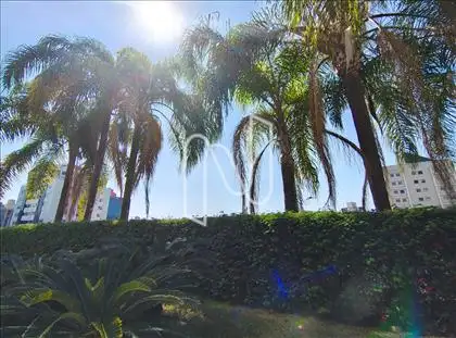 Linda vista da natureza 