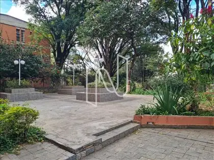 Jardim