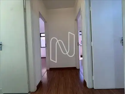 Circulação