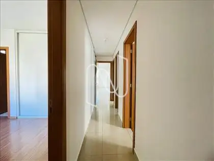 Circulação