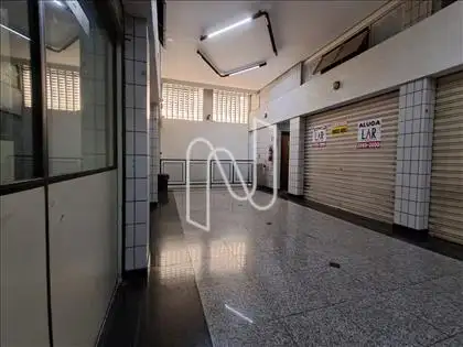 Galeria