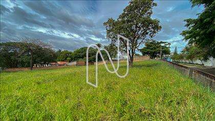 Lote