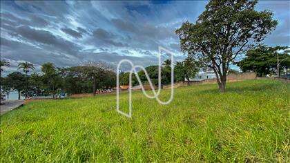 Lote
