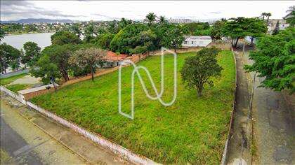 Lote