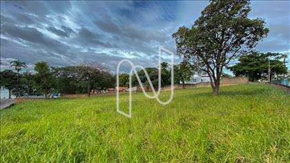 Lote