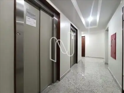 Elevadores 