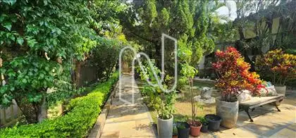 Jardim 