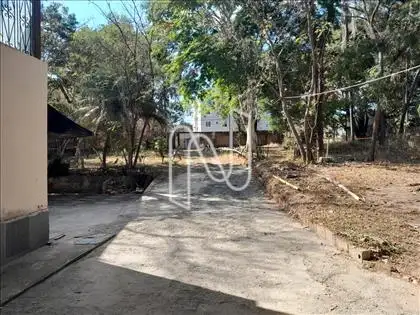 Lote