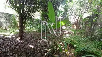 Quintal de Fundos 
