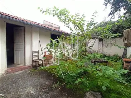 Barracão de Fundos  