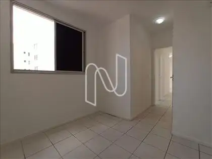 Suíte