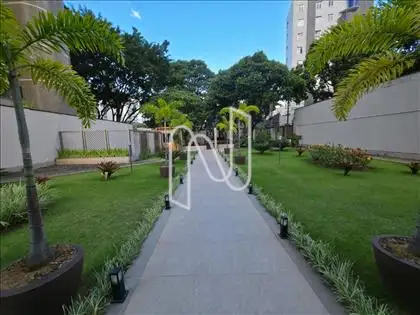 Jardim