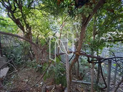 Horta
