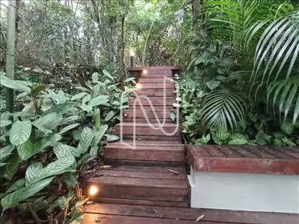  Jardim
