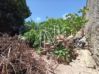 Quintal