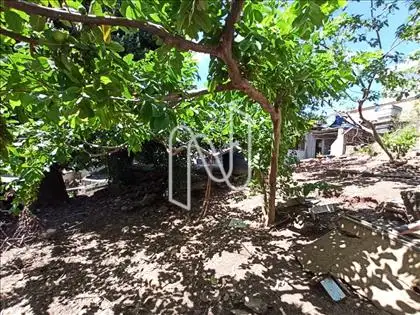 Quintal